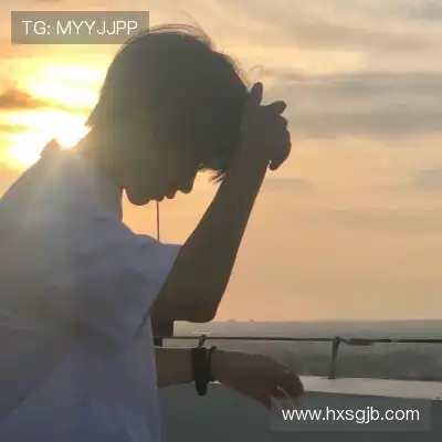 舒舜飚